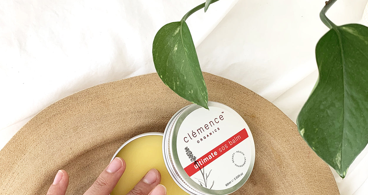 Clemence Organics Blog Stretch Marks Scars