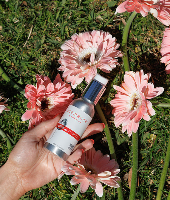 A hand holding the Clémence Organics 'Refining Cleanser' product, over three pink Gerberas.