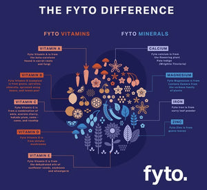 An infographic titled 'THE FYTO DIFFERENCE' on a dark blue background, comparing FYTO Vitamins and FYTO Minerals with illustrated plants and fruits. The FYTO logo appears at the bottom right.